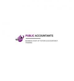 Public Accountants