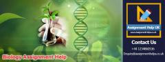 Get Biology Assignment Help And Secure A Grades