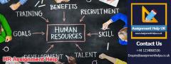 How Can Hr Assignment Help Improve Your Grades