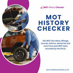 Dvla Mot History Checker Verify Your Vehicles Mo