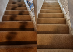 Carpet Cleaning Paisley Call Now  075432 03536