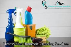 Domestic Cleaner Glasgow