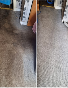 Best Carpet Cleaning Paisley
