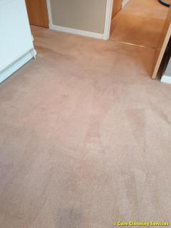 Carpet Cleaning Hamilton