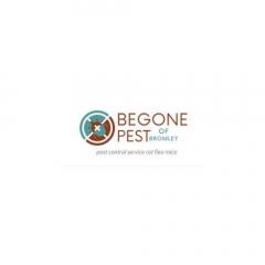 Begone Pest Effective Wasp Control Services In B
