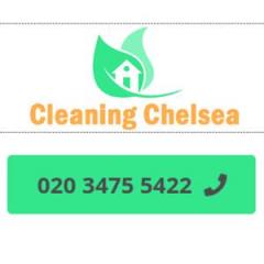 Cleaning Chelsea