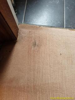 Carpet Cleaning Motherwell