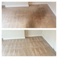 Carpet Cleaning East Kilbride