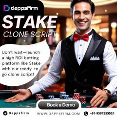 Low-Cost Stake Clone Solution  Build, Customize 