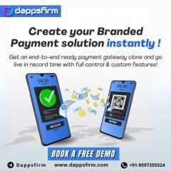 Online Payment Gateway Clone Script For Scalable