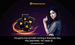 Enjoy Rummy Anywhere With Our Downloadable Rummy