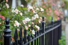 Expert Residential Security Fence Installation &