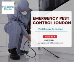 A Emergency Pest Control Specialist In London Is