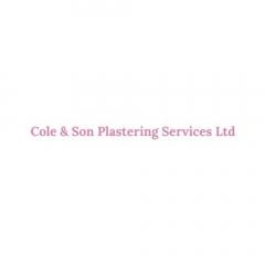 Cole & Son Plastering Services Ltd - Safeguardin