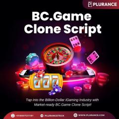 Who Can Use Plurances Whitelabel Bc.game Clone S