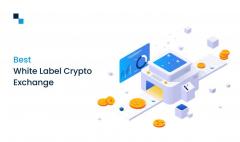 Establish And Promote The Best White Label Crypt