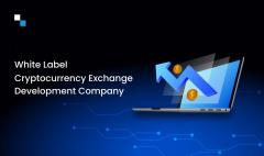 Connect With Leading Cryptocurrency Exchange Dev