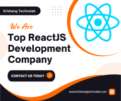 Reactjs Development Company