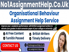 Organisational Behaviour Assignment Help By No1A