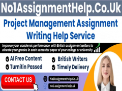 Project Management Assignment Help By No1Assignm