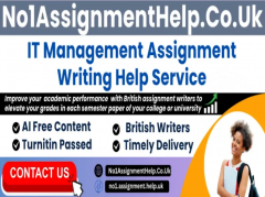 It Management Assignment Help By No1Assignmenthe