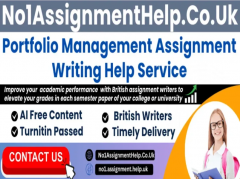 Portfolio Management Assignment Help By No1Assig