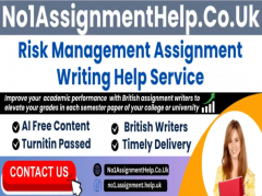 Risk Management Assignment Help By No1Assignment