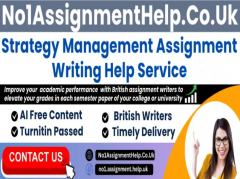 Strategy Management Assignment Help By No1Assign