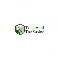 Expert Tree Care Services In Dundee Tangle Wood 