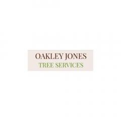 Premier Landscapers In Kent - Oakley Jones Tree 