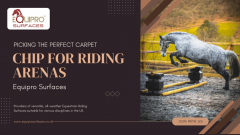 Picking The Perfect Carpet Chip For Riding Arena