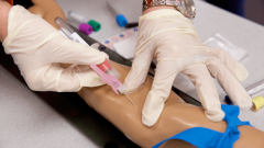 Become A Certified Phlebotomist: Enroll In Profe