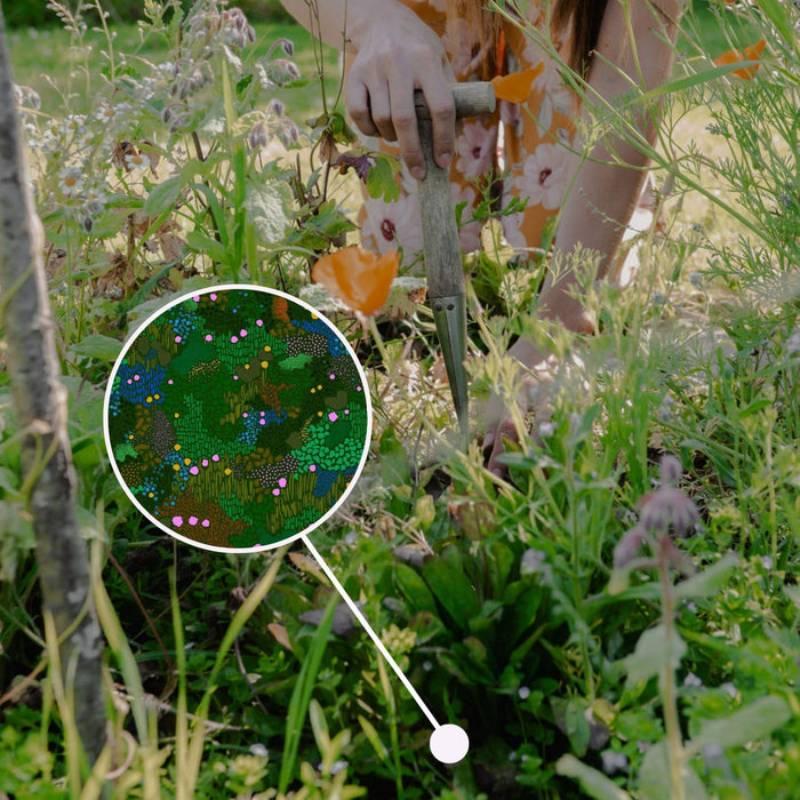 Try microbzs Chemical Free Microbial Gardening Products Today 2 Image