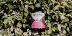 Our Liquid Probiotic With 15 Strains Of Microbes