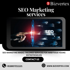 Seo Marketing Magic Tailored Services For Ambiti