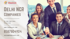 Delhi Ncr Companies