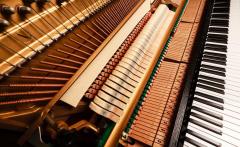 Basingstokes Piano Tuning Maestros Harmonizing Y