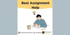 Get The Best Assignment Writing Help In The Uk F