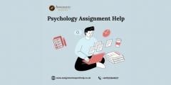 Expert Assistance With Your Psychology Assignmen