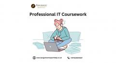 Professional It Coursework Support From Our Expe