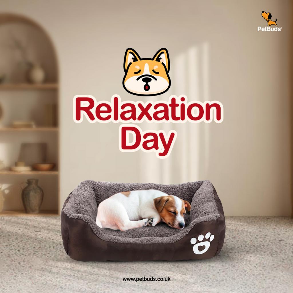 Chew-Proof Dog Bed  Indestructible, Orthopedic & Washable 2 Image