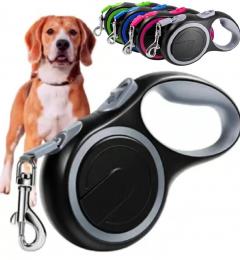 Bright & Stylish Retractable Dog Leash