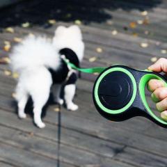 Enjoy Tangle-Free Walks Retractable Dog Leash