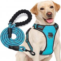 Adjustable No-Pull Dog Harness Set  Comfort & Co