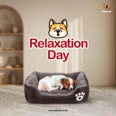 Chew-Proof Dog Bed  Indestructible, Orthopedic &