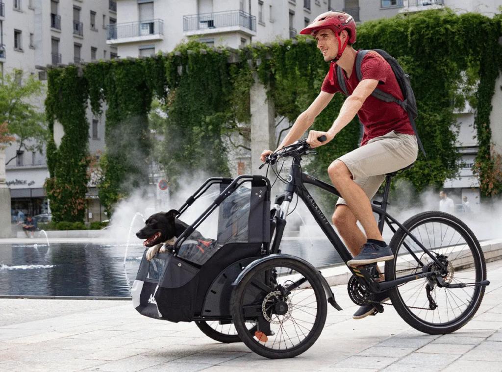 Best Dog Bike Trailer for Large Dogs UK 5 Image