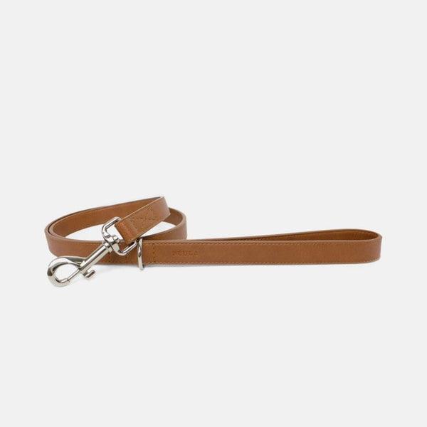 Vegan Dog Collar and Leashes 4 Image