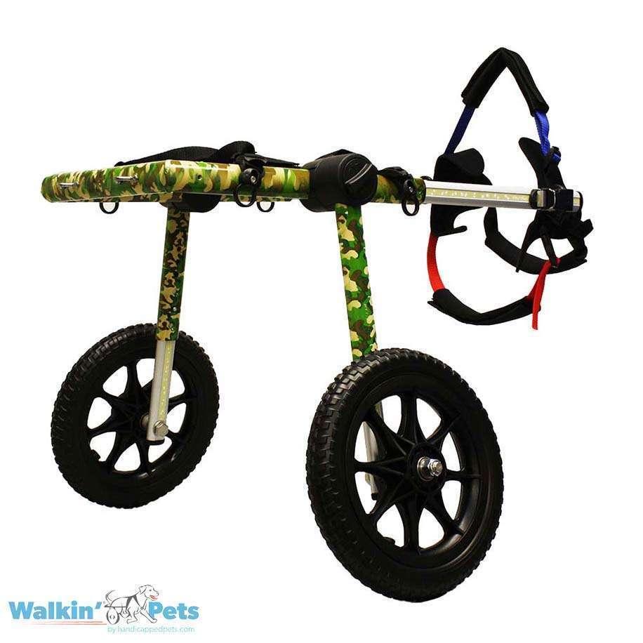 Wheels4dogs Dog Wheelchairs UK For Disabled Pets 3 Image