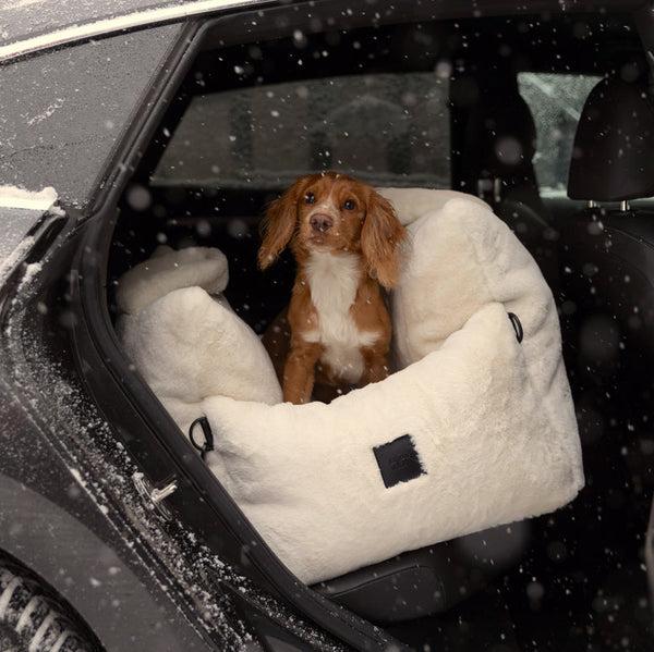 Premium Dog Car Seat & Pet Accessories  Silver Circle Pets UK 5 Image