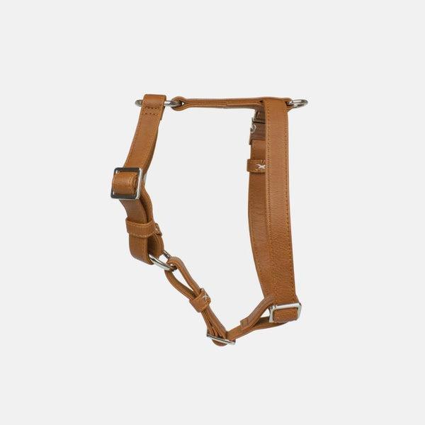 Vegan Dog Collar and Leashes 3 Image